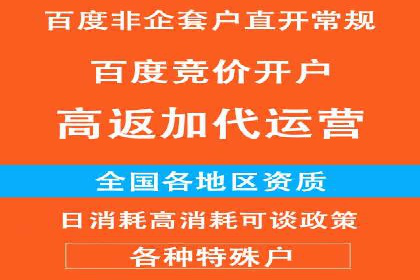 案例研究：竞价广告助力企业品牌升级
